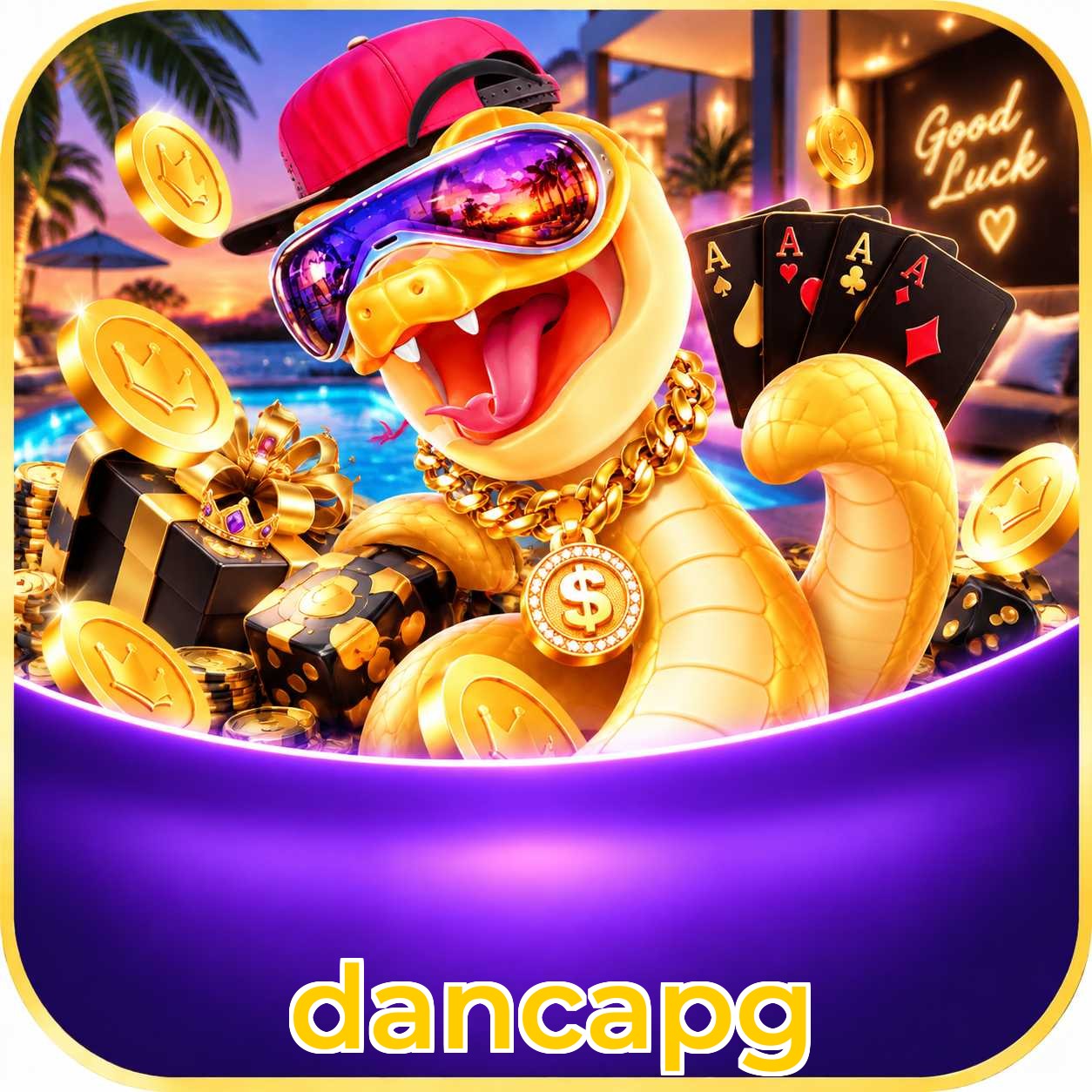dancapg Security