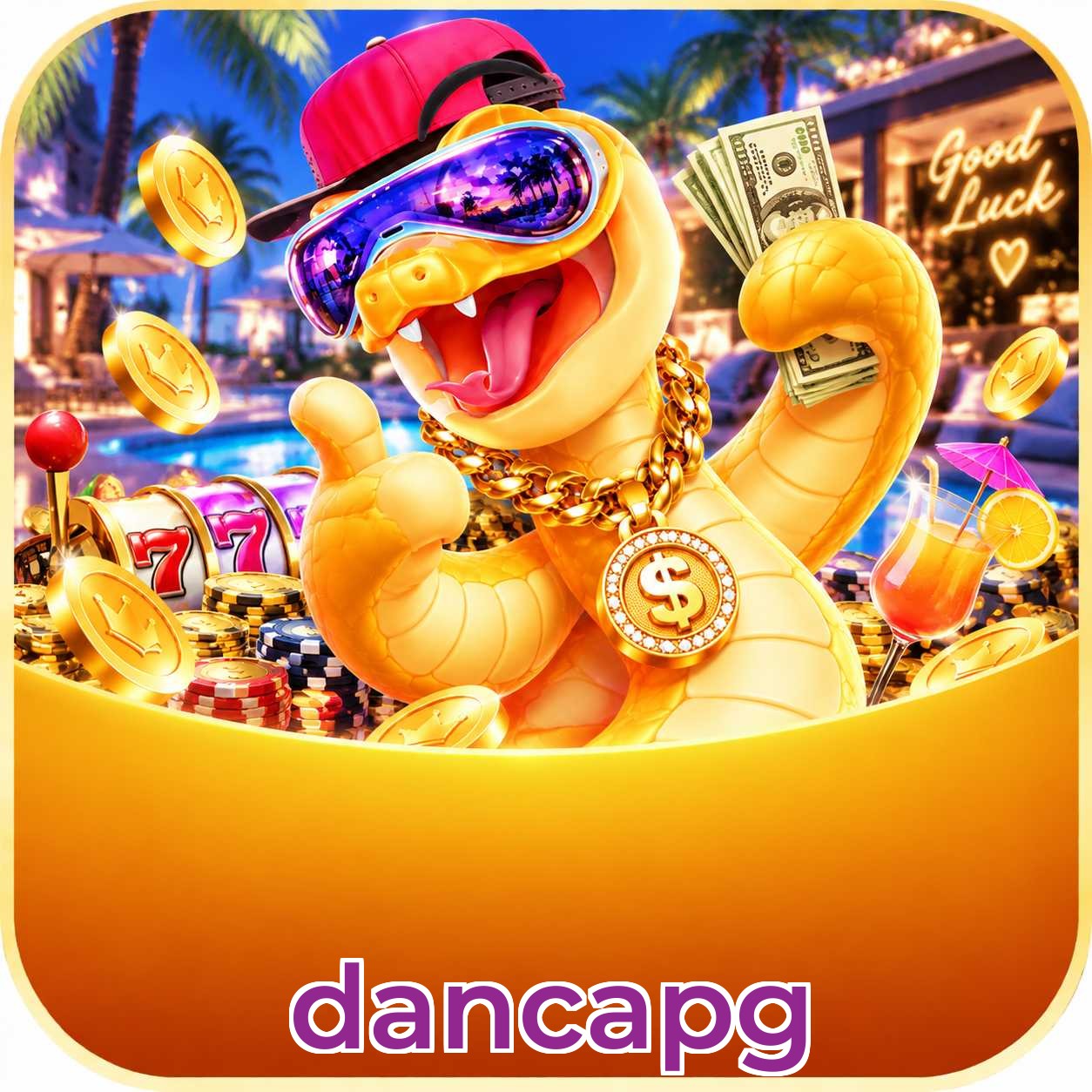 dancapg Suporte